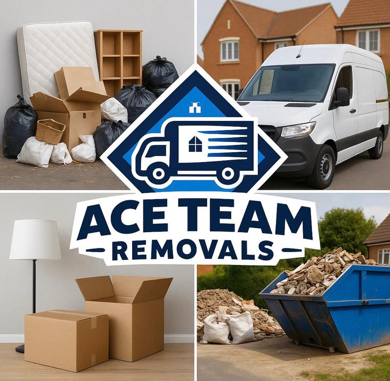 ACE Team Removals logo