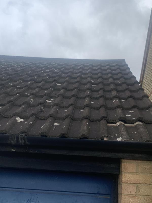 Proline Roofing and Building Ltd, Hemel Hempstead (HP2 4EP) Approved