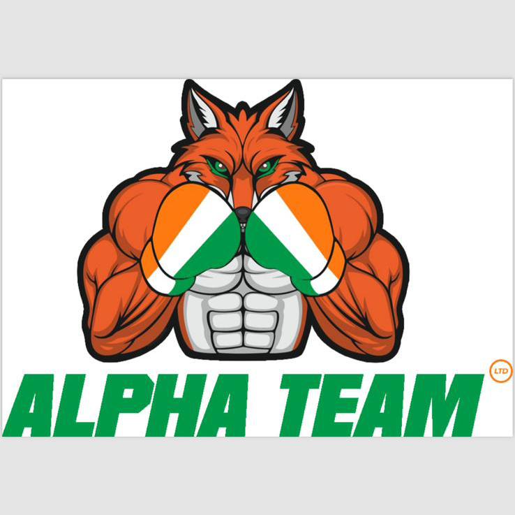 Alpha Team Ltd logo