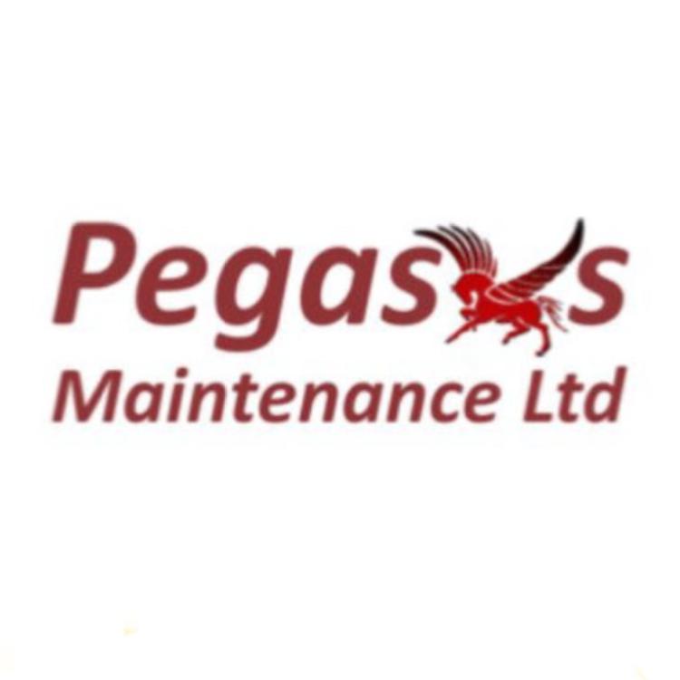 Pegasus Maintenance Ltd logo