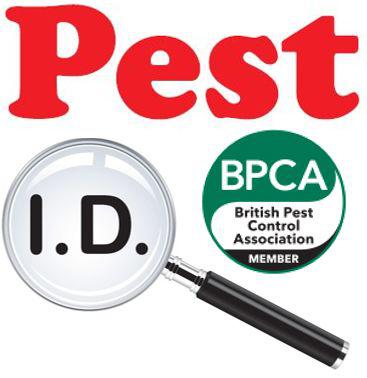 Pest ID Limited logo