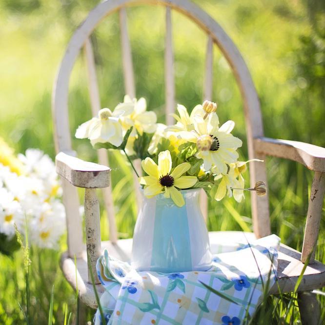 August Gardening Jobs