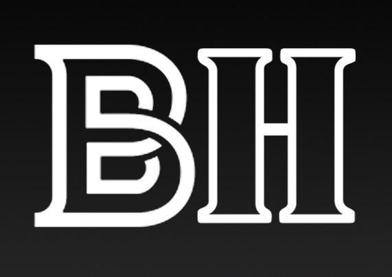 Batney Holdings Ltd logo