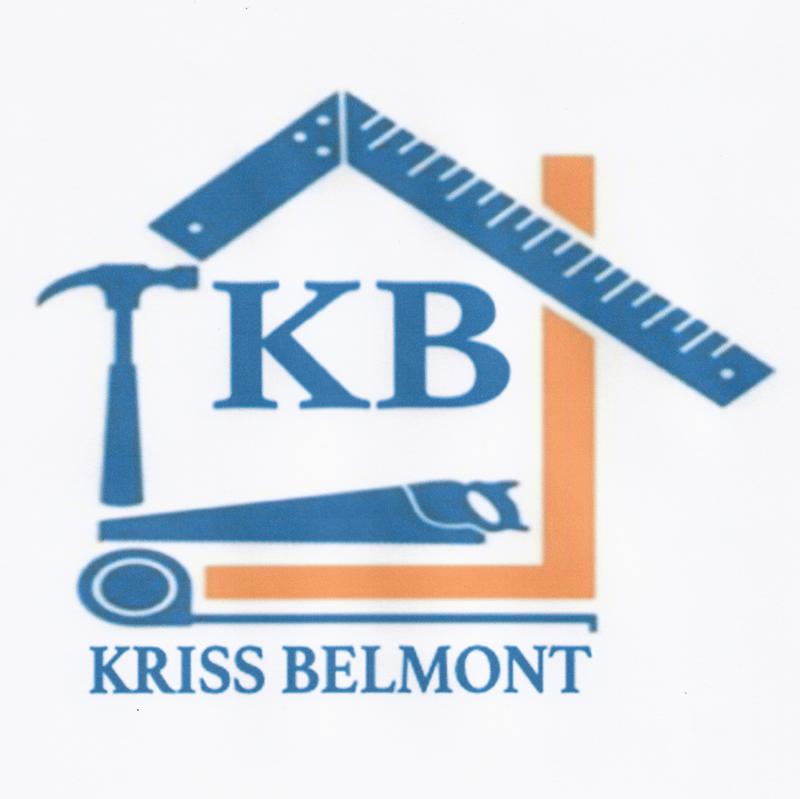 Belmont Professional Services logo