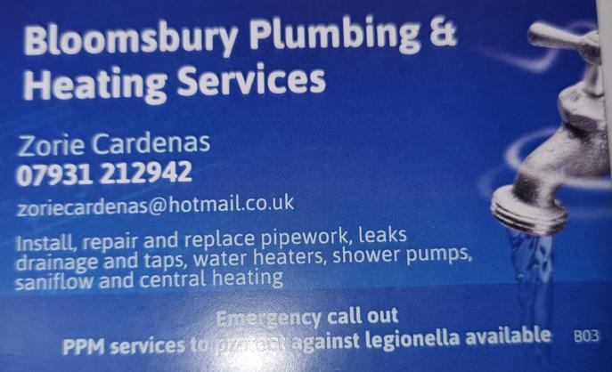 Bloomsbury Plumbing and Heating logo