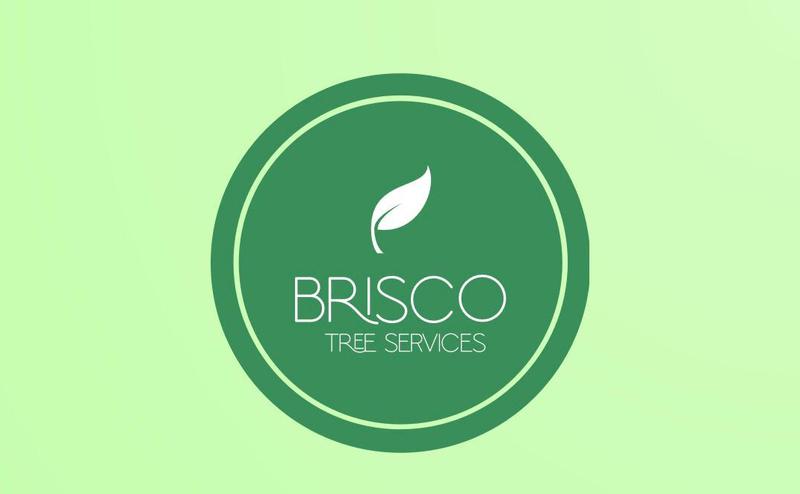 Brisco Tree Services logo