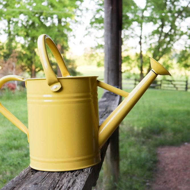 Get Creative: Water-Saving Gardening Tricks and Tips