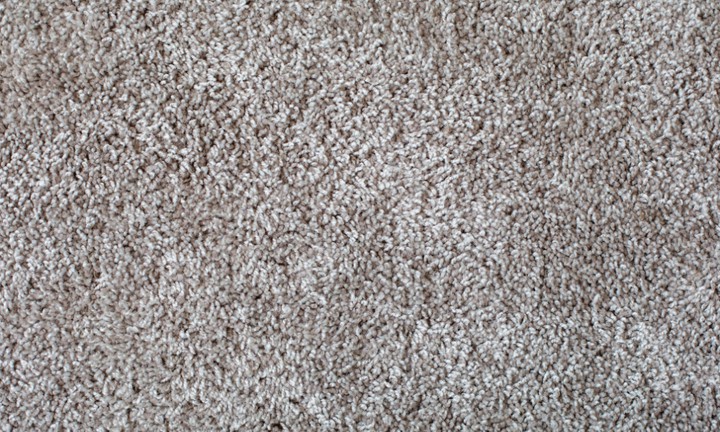 carpet repair near me