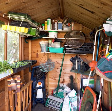 Wooden shed: insulation or wood preservative?