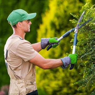 Garden Room Near Me: Your Complete Guide to Getting It Right