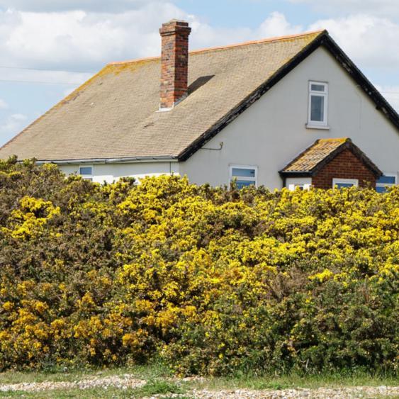 When To Book A Chimney Sweep