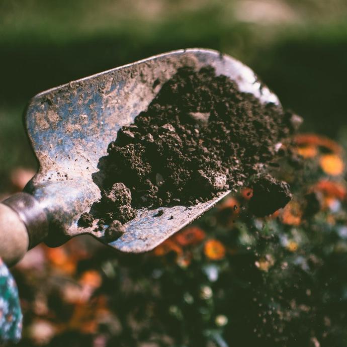 Give Your Garden A Boost With Coffee Grounds
