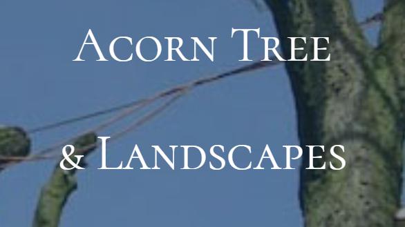 Acorn Tree & Landscapes logo