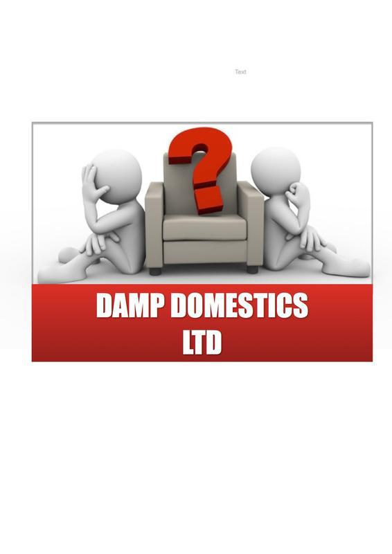 Damp Domestics Ltd logo
