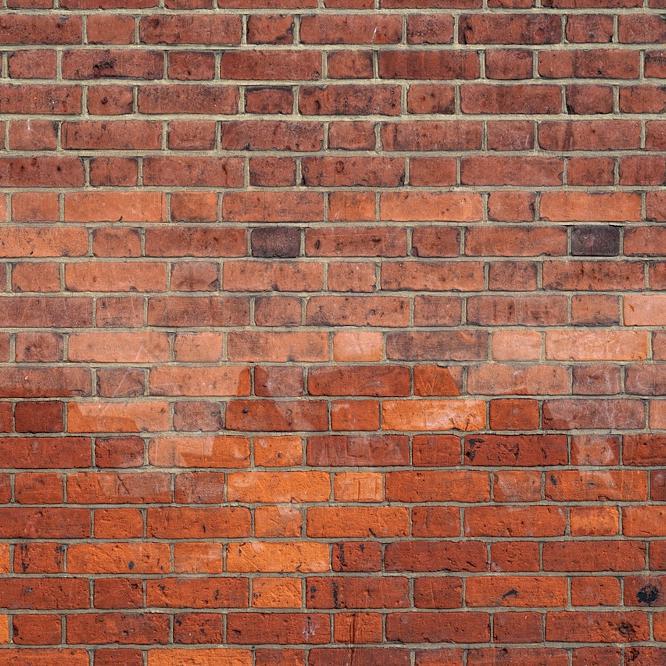 Focus on Damp Part One: Rising Damp