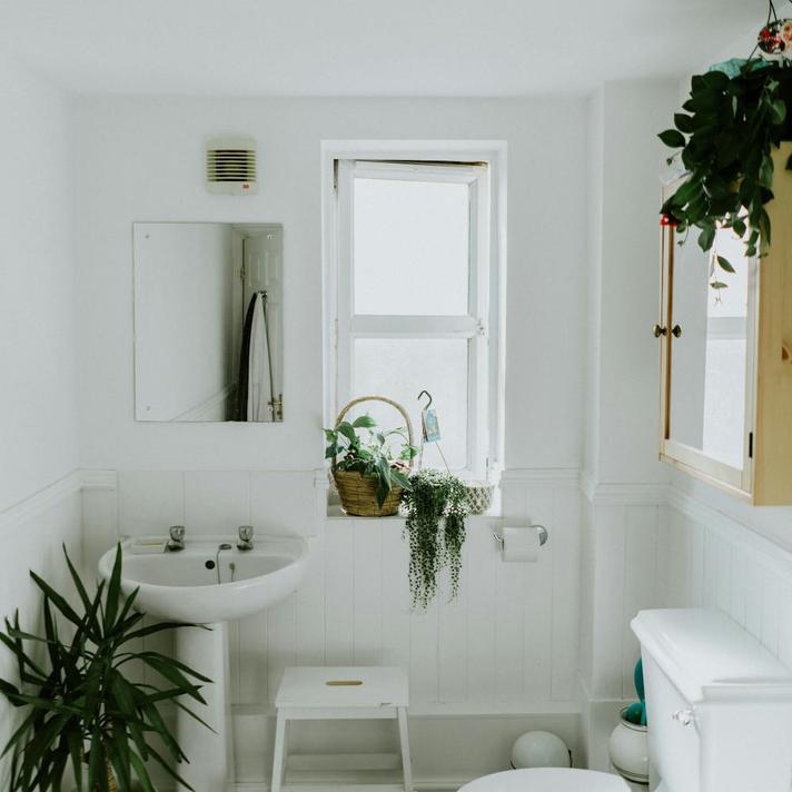 Focus on: Bathroom Fans