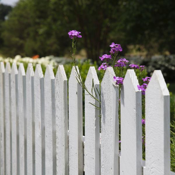 Focus on: Fences - Why wood?