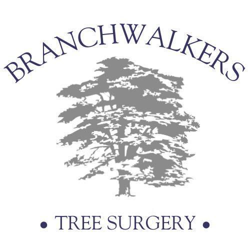 Branchwalkers Tree Surgery Ltd logo