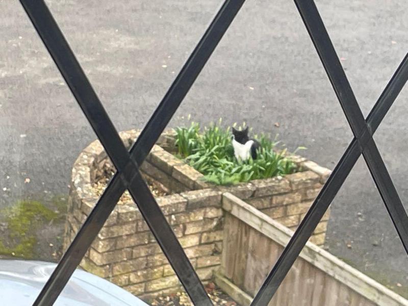 Getme Websites Limited (Test account) logo