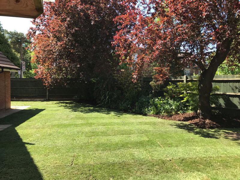 Evergreen Tree & Landscaping Service, Bushey (WD23 4HL) Approved