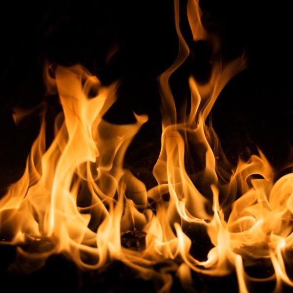 Wood Burners: What to Burn