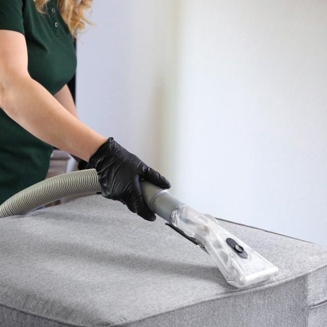 Getting Rid of Fleas Part Two: Tackling Infestations