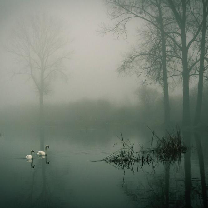 Beat The Floods – Top Tips For Flood Protection