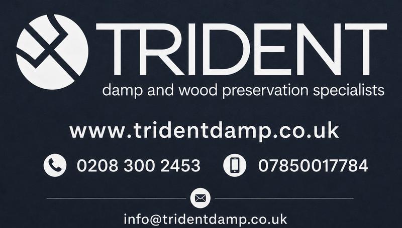 Trident Damp Ltd logo