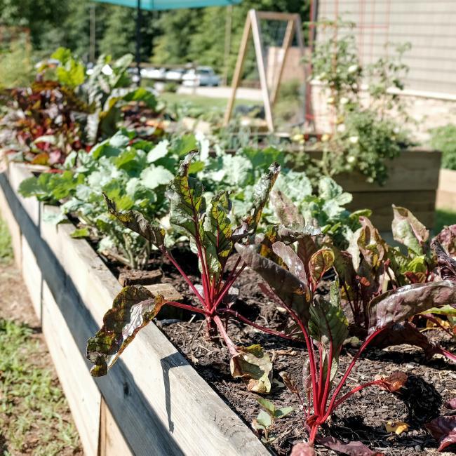 The Kitchen Garden Part One: Preparing Your Garden