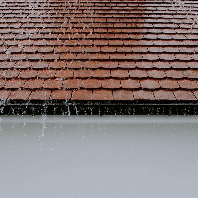 Have you checked your guttering?