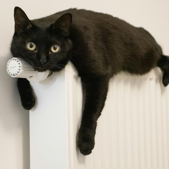 "Heating Engineers Near Me": Keep Your Home Warm and Safe with Trusted Experts