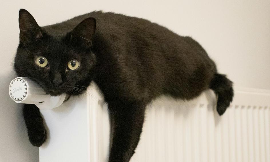 ‘Heating Engineers Near Me’: Keep Your Home Warm and Safe with Trusted Experts