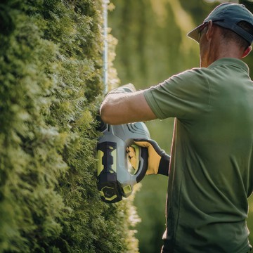 Ask the experts: When is the best time to trim your hedge?