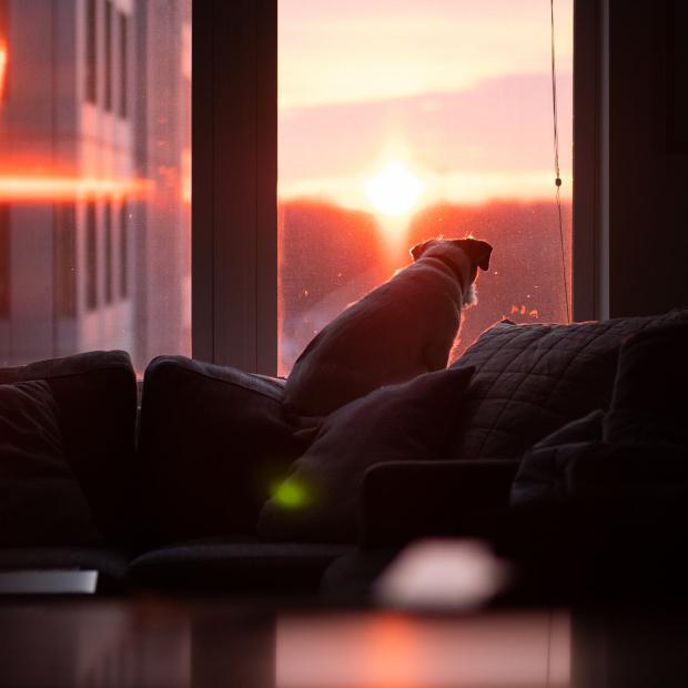 New Year, New Look - Budget DIY Ideas For Simple Home Transformations