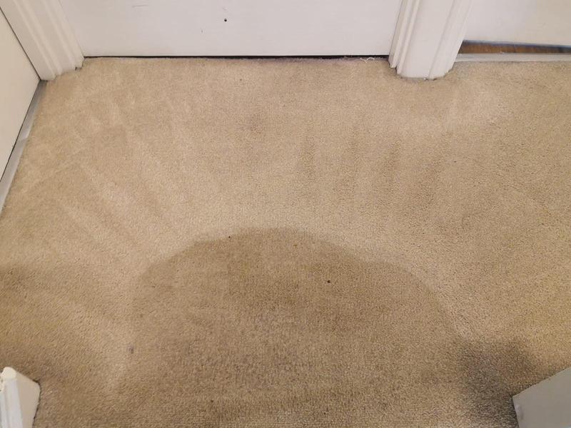 DC Carpet Cleaning Ltd, Poole Approved Carpet & Upholstery Cleaning