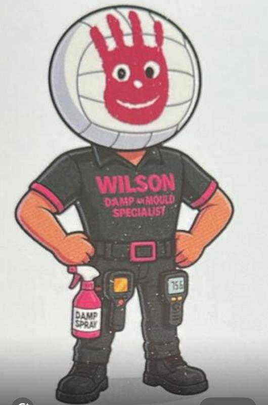 Wilson Damp and Mould Specialist Limited logo