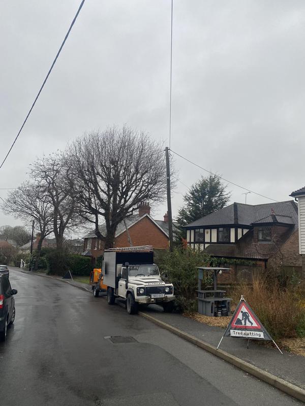 AG Garden & Tree logo