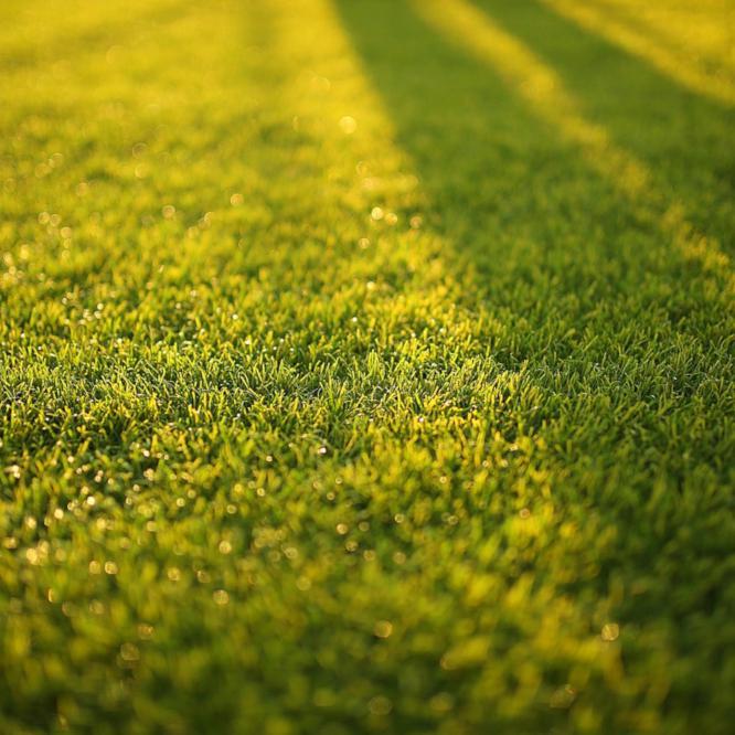 Mowing 101 - Get Mowing