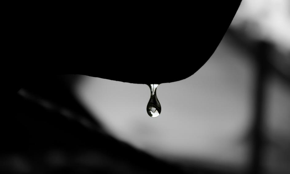 Oh My Leak! Part One:  How to Identify the Source of a Leak in Your Home