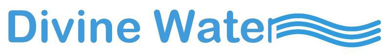 Divine Water Plumbing, Heating & Electrical Ltd logo