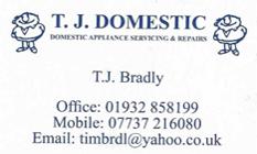 TJ Domestic logo