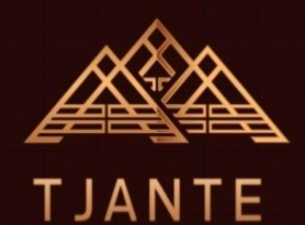 Tjante Construction Ltd logo
