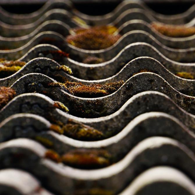 Benefits of Cleaning Your Roof