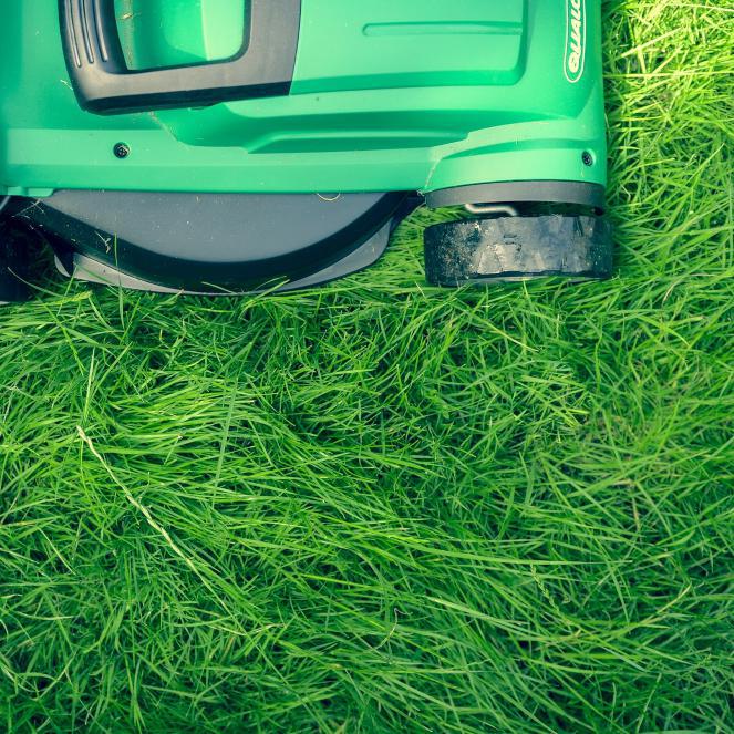Mowing Basics: Top Tips for Lustrous Lawns