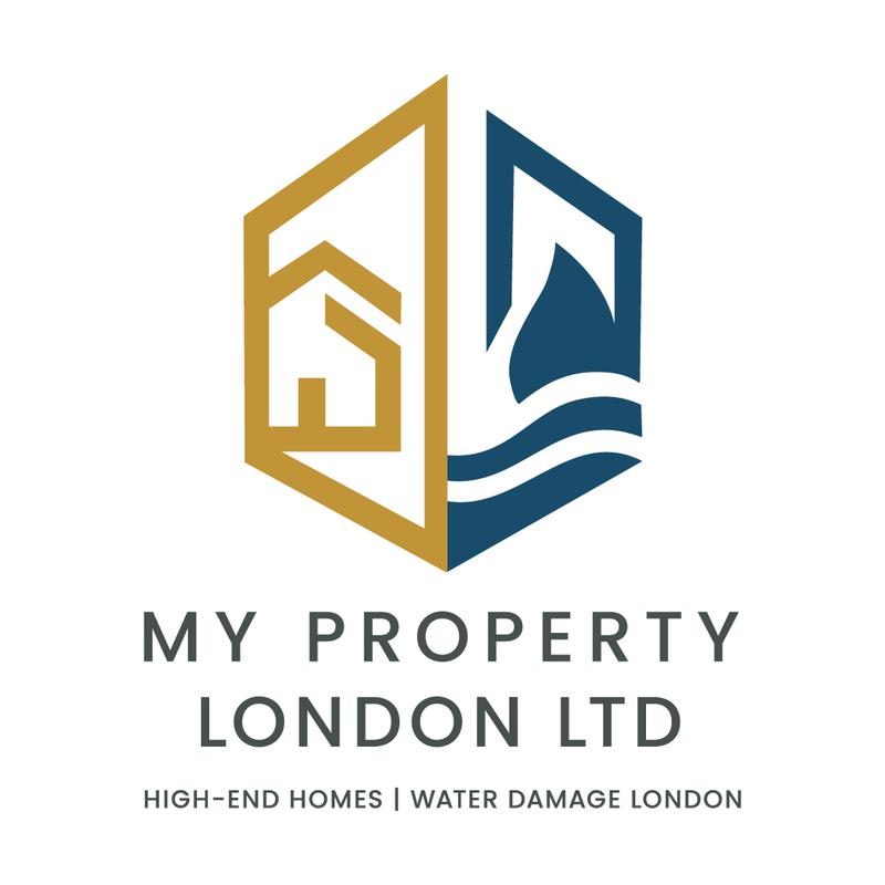 Water Damage London logo