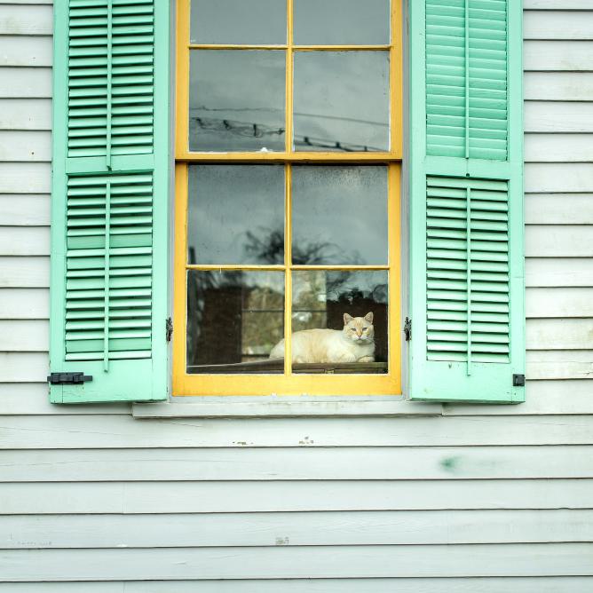 House Exterior Painting - Top Painting Tips