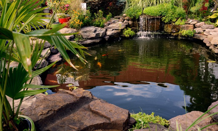 how to clean a pond