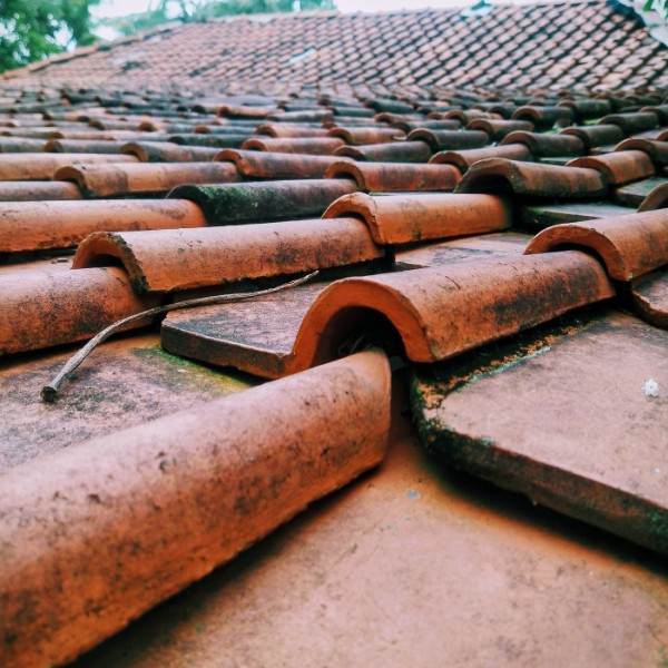 when to look for a roof cleaning professional