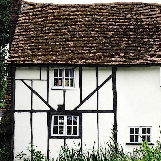 Focus on Damp Part Three: Penetrating Damp