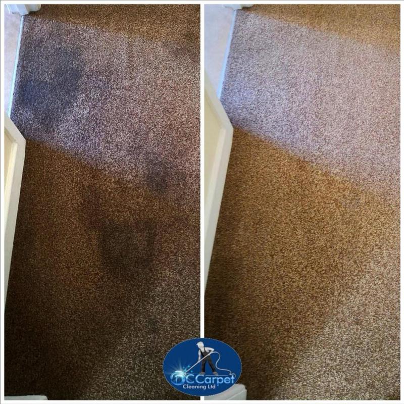 DC Carpet Cleaning Ltd, Poole Approved Carpet & Upholstery Cleaning